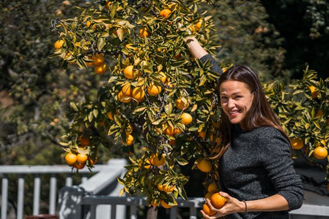 Jennifer Garner in njen recept za slastno in nasitno solato za v službo