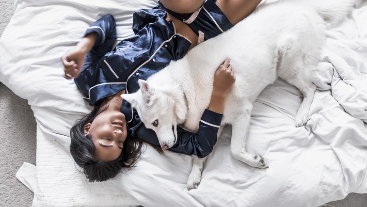 7 razlogov, zakaj lahko vaš kuža spi poleg vas (foto: unsplash)