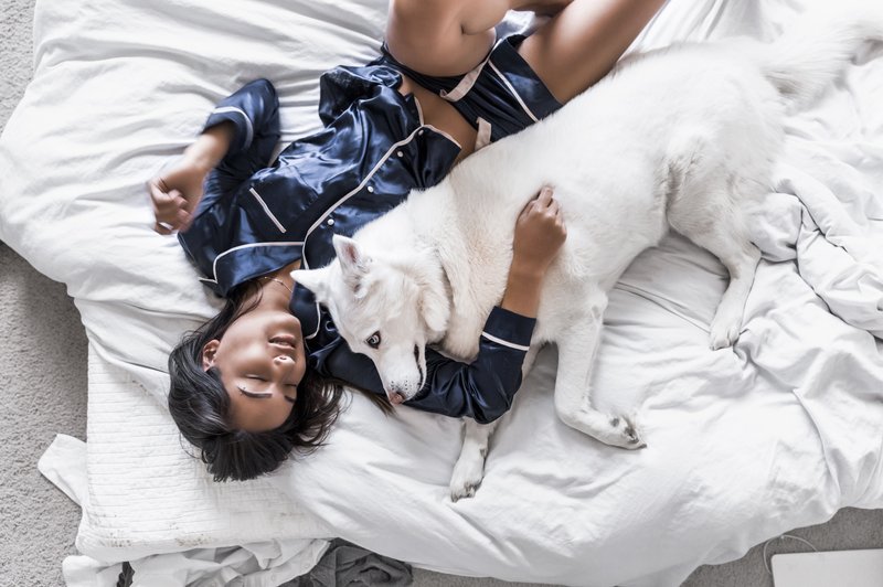 7 razlogov, zakaj lahko vaš kuža spi poleg vas (foto: unsplash)