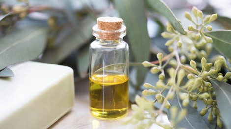 Kako uporabljati evkaliptusovo olje? (in zakaj mora vedno biti v vaši omarici)