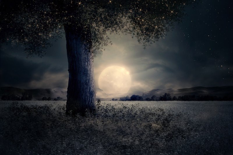 Zakaj bi se morali odpraviti na sprehod v soju polne lune (foto: pixabay)