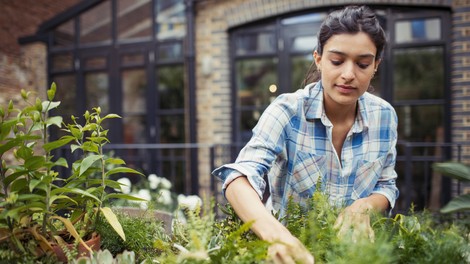 Vrtnarjenje je super zdravo: zmanjša stres, ščiti pred osteoporozo, kuri odvečne maščobe ...