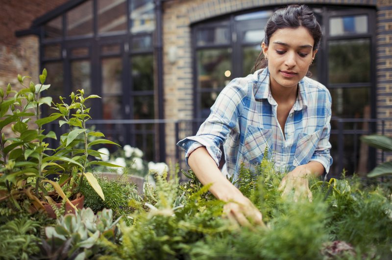 Vrtnarjenje je super zdravo: zmanjša stres, ščiti pred osteoporozo, kuri odvečne maščobe ... (foto: profimedia)