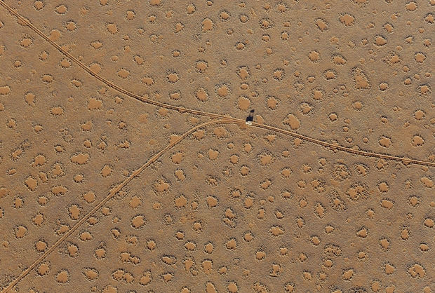 Pravljični krogi, Namibija Vilinski ali pravljični krogi so lahko od 2 do 35 metrov enakomerno razporejene krožne plešaste lise (brez …