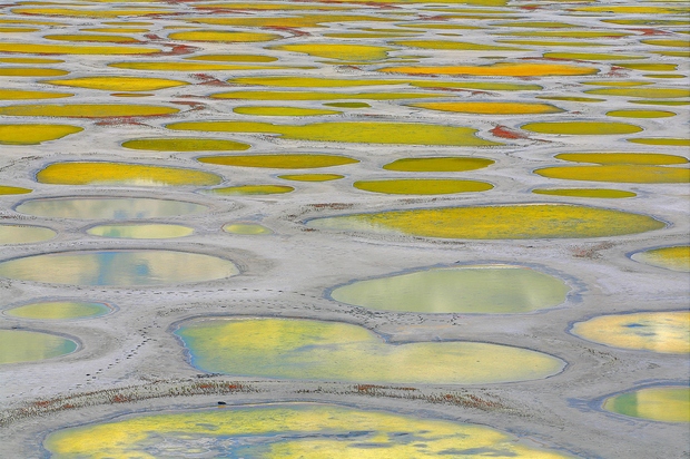 Spotted Lake, Kanada Pikčasto slano jezero v Britanski Kolumbiji slovi po svojih »pikah«, ki se pojavljajo na jezeru. Magnezijev sulfat …