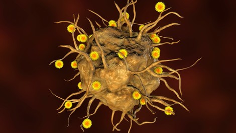 Novi koronavirus se je po svetu razširil že konec leta 2019, kaže študija