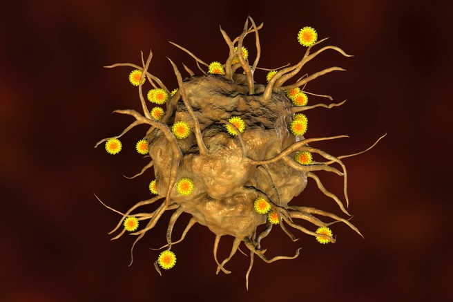 Novi koronavirus se je po svetu razširil že konec leta 2019, kaže študija