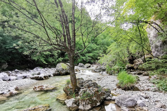 Pobeg iz mesta po svežo zalogo kisika in sprehod po naravi: soteska Iški vintgar