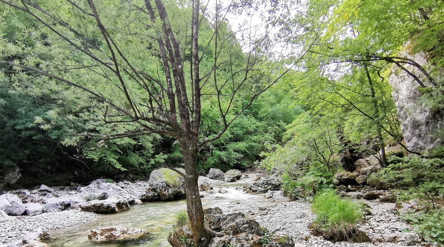 Pobeg iz mesta po svežo zalogo kisika in sprehod po naravi: soteska Iški vintgar (foto: DDD)