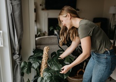 Rastline, ki po feng šuju v dom prinašajo srečo, ljubezen in mir
