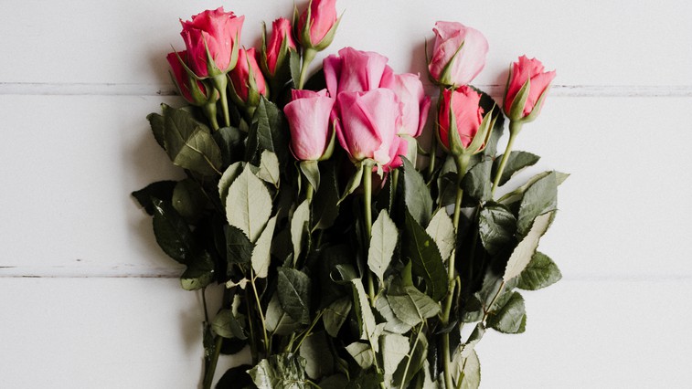 Veste, kaj pomeni število rož v šopku, ki vam ga prinese partner? (foto: unsplash)