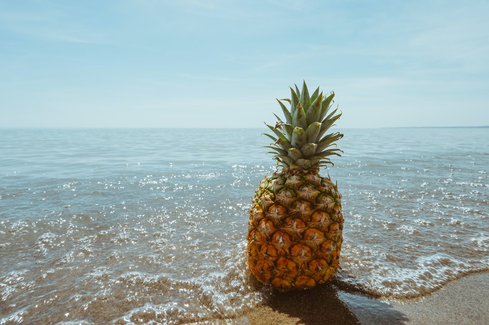 Poletni jedilnik: Saden osvežilen zajtrk, kavni napitek in lahko kosilo (foto: unsplash)