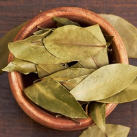 Lovorjev sirup je odličen proti kašlju: preverjen recept naših babic, ki ga morate poznati