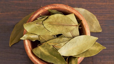 Lovorjev sirup je odličen proti kašlju: preverjen recept naših babic, ki ga morate poznati