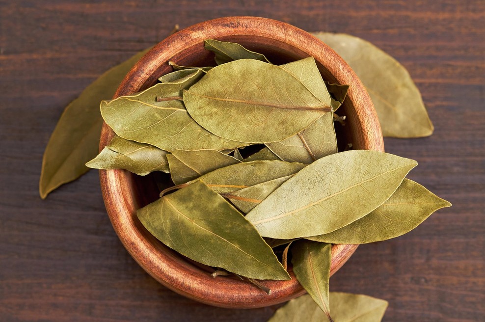 Lovorjev sirup je odličen proti kašlju: preverjen recept naših babic, ki ga morate poznati (foto: Profimedia)