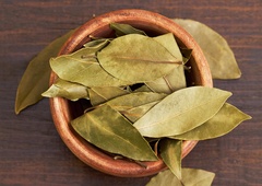 Lovorjev sirup je odličen proti kašlju: preverjen recept naših babic, ki ga morate poznati