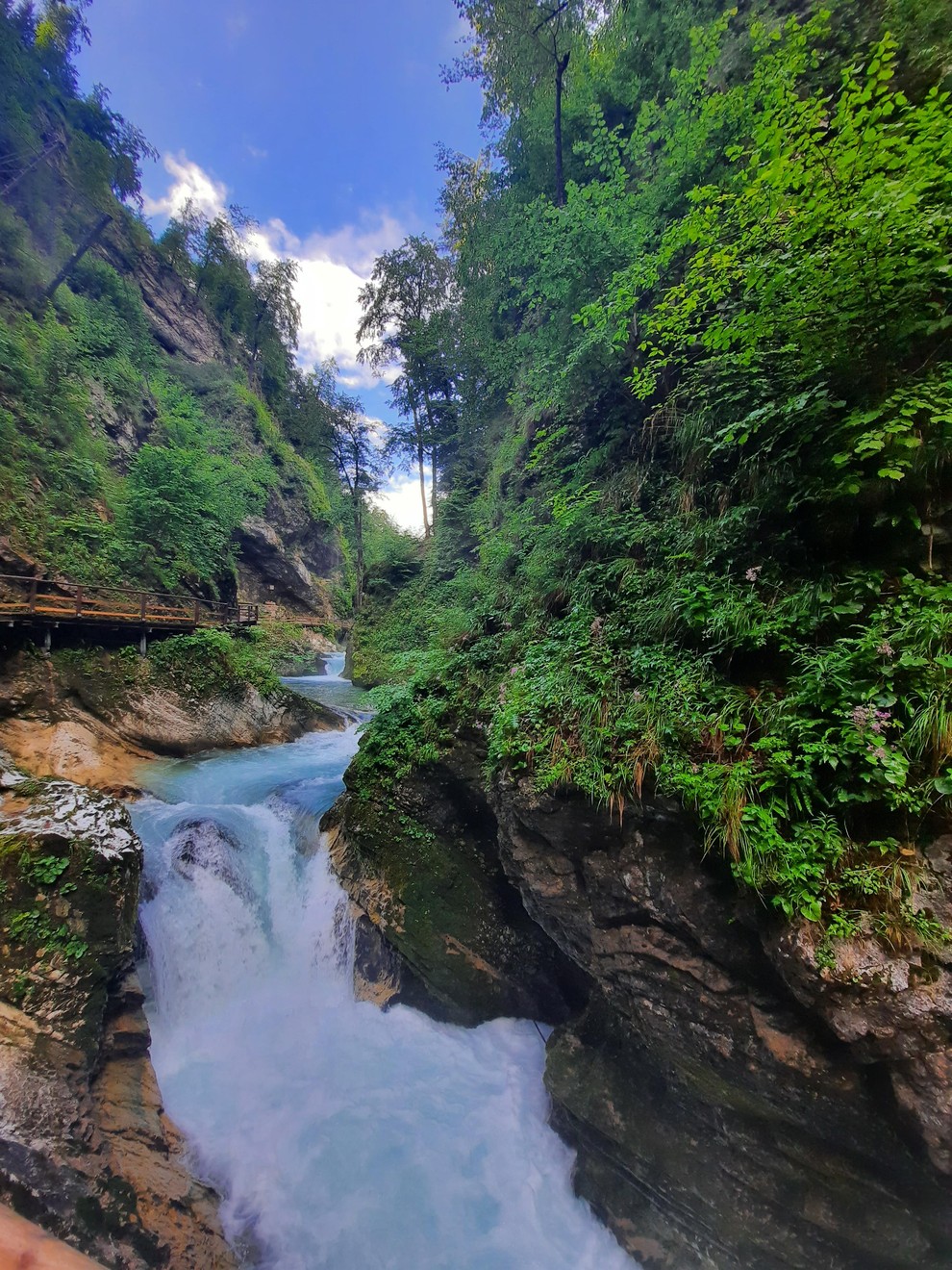 Pot po soteski Vintgar je enosmerna, kar pomeni, da se boste najprej sprehodili po Vintgarju, nazaj pa se vračate mimo …