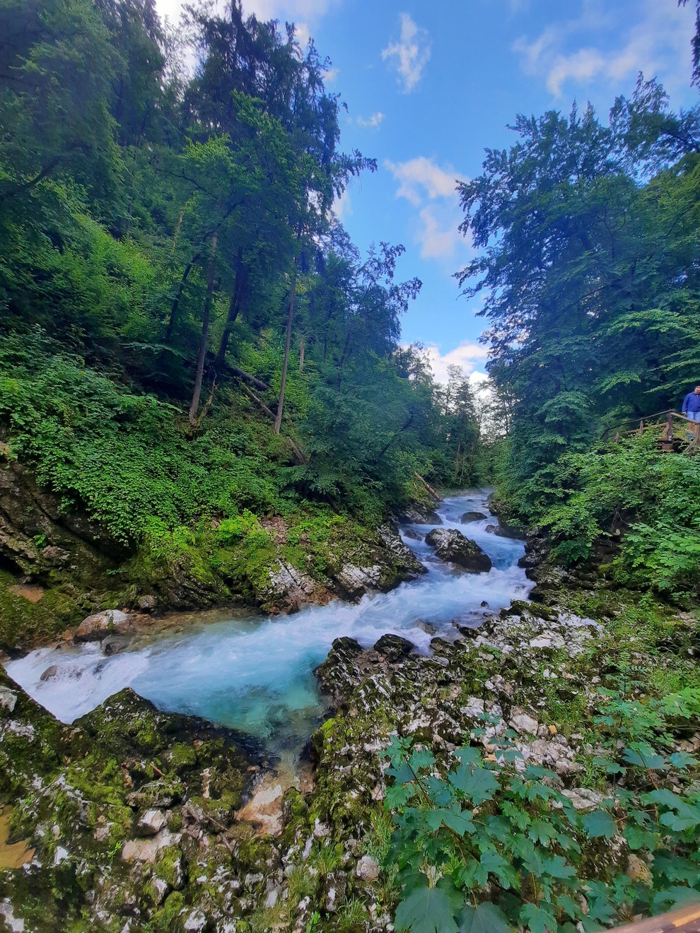 Za pustolovce: soteske in korita po Sloveniji, ki jih morate nujno obiskati!