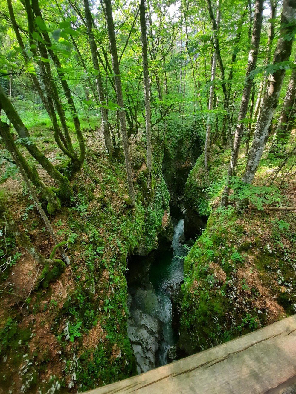 KORITA MOSTNICE Reka Mostnica teče skozi dolino Voje. Pot vodi skozi gozd, in sicer se boste mimo Hudičevega mostu sprehodili …