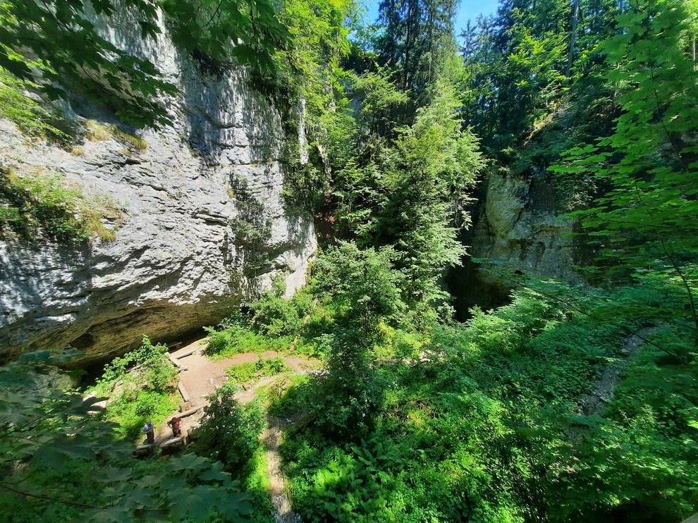 POKLJUŠKA SOTESKA Tu si boste zares oddahnili od mestnega vrveža in se predali naravi. Cela pot poteka po gozdu, hodili …