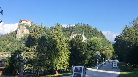 Pred skokom v jezero še na ogled razstave Podobe raja: Bled na platnih slovenskih slikarjev