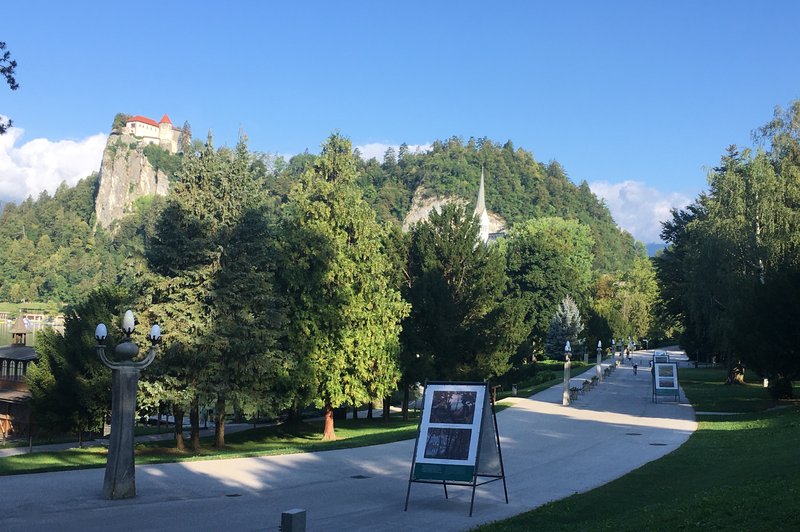Pred skokom v jezero še na ogled razstave Podobe raja: Bled na platnih slovenskih slikarjev (foto: DDD)