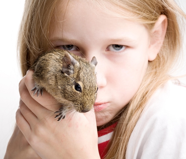 Številne študije dokazujejo, da imajo otroci, ki odraščajo z živaljo, bolje razvito in izraženo empatijo in sočutje, ki se kaže …