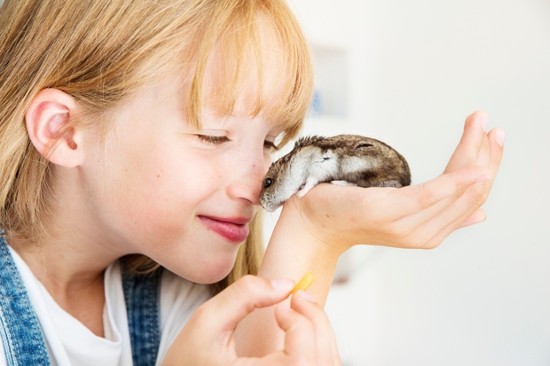 Raziskave so pokazale, da živali pomagajo otrokom razvijati neverbalne načine komuniciranja.