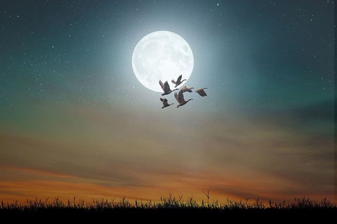 Današnja polna luna je zelo MOČNA (in nosi s seboj tudi zdravilno moč)