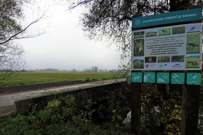 Kam danes z otroki ali na rekreacijo?  Ljubljansko barje – krajinski park