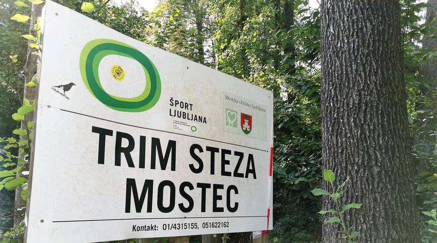 Preverili smo TRIM STEZE v Ljubljani: Odlične za kombinacijo hoje ali teka ter vaj za moč (foto: DDD)