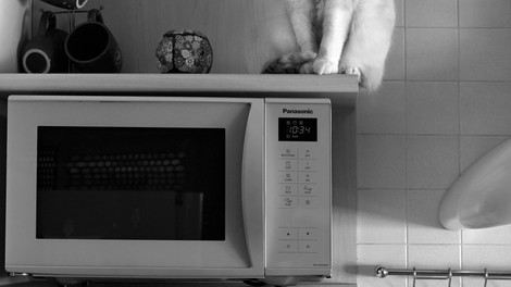 8 razlogov, da odstranite mikrovalovno pečico iz kuhinje