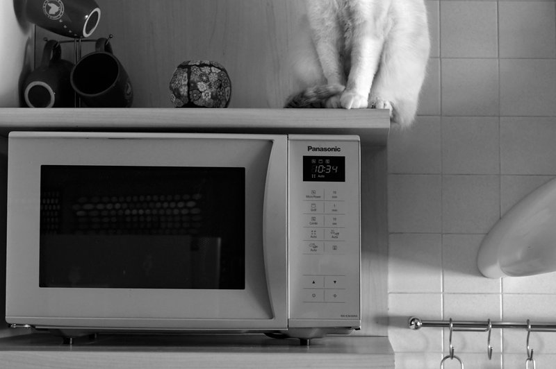 8 razlogov, da odstranite mikrovalovno pečico iz kuhinje (foto: pexels)