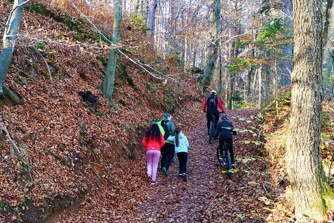 Kam na hiter tek, sprehod ali na kolo: Klobuk pri Ljubljani