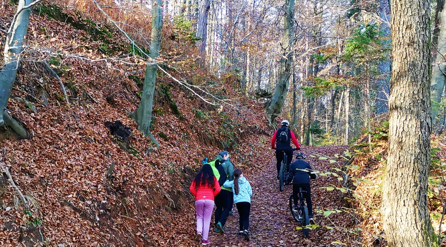 Kam na hiter tek, sprehod ali na kolo: Klobuk pri Ljubljani (foto: DDD)