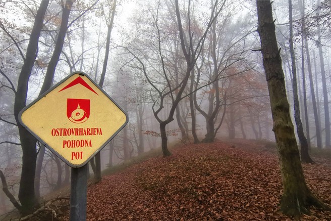 Med karanteno iščemo nove izlete: Debenji vrh pri Ljubljani (530 m)