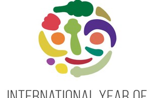 Leto 2021 bo mednarodno leto sadja in zelenjave. Preberite zanimivosti o slovenskih jabolkih in ptujskem lüku