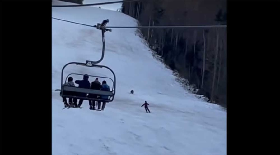 Poglejte, kako je medved lovil smučarja! (VIDEO) (foto: YouTube | PrtScr)