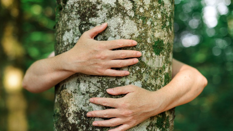7 načinov, kako bolj odgovorno ravnati z naravo (foto: Profimedia)