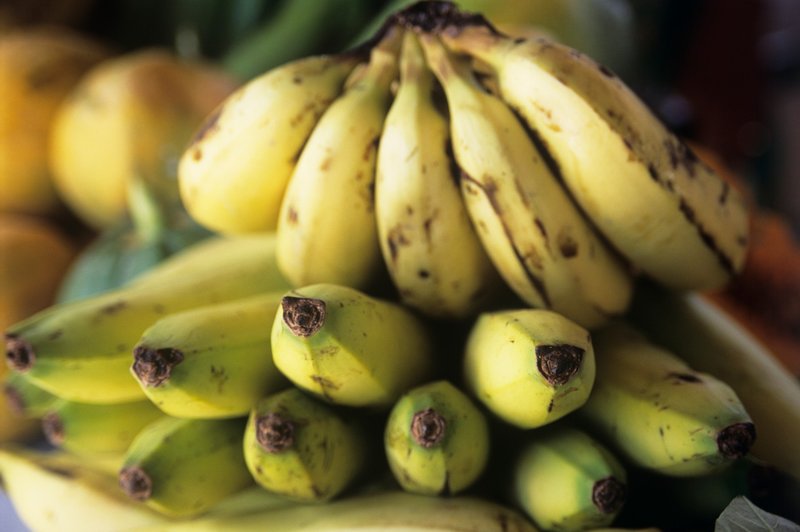 Kako vam lahko banane pomagajo pri hujšanju? (foto: Profimedia)