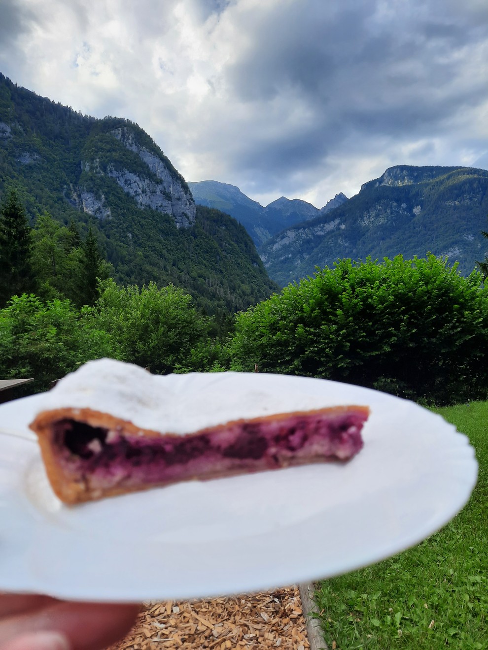 PITA Z GOZDNIMI SADEŽI NA PLANINSKI KOČI NA VOJAH V koči na Vojah boste dobili pite vseh okusov, ja tudi …