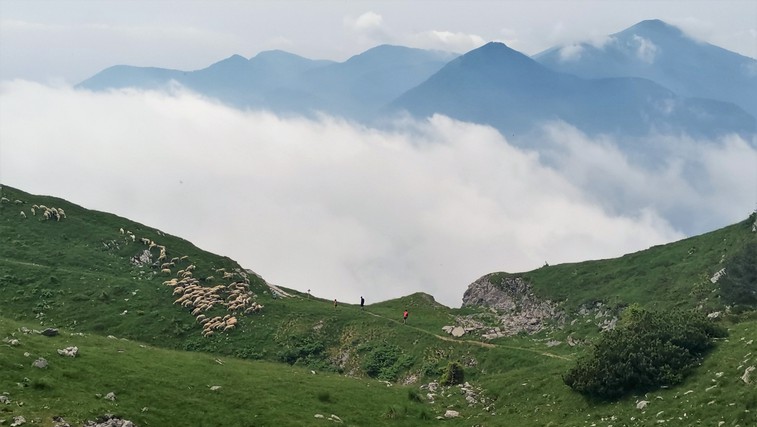 Soriška planina – raj za pohodnike in kolesarje (foto: DDD)