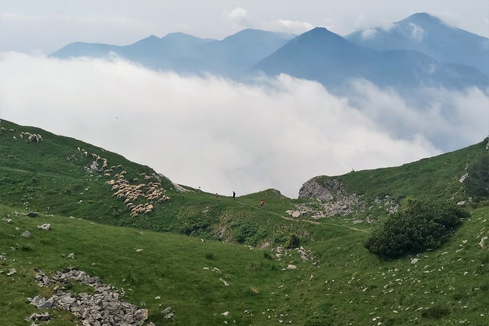 Soriška planina – raj za pohodnike in kolesarje