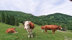Soriška planina – raj za pohodnike in kolesarje