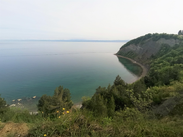 Plaža Mesečev zaliv, Strunjan, Slovenija Divja plaža v Mesečevem zalivu ali zalivu Sv. Križa velja za najlepšo plažo v Sloveniji. …