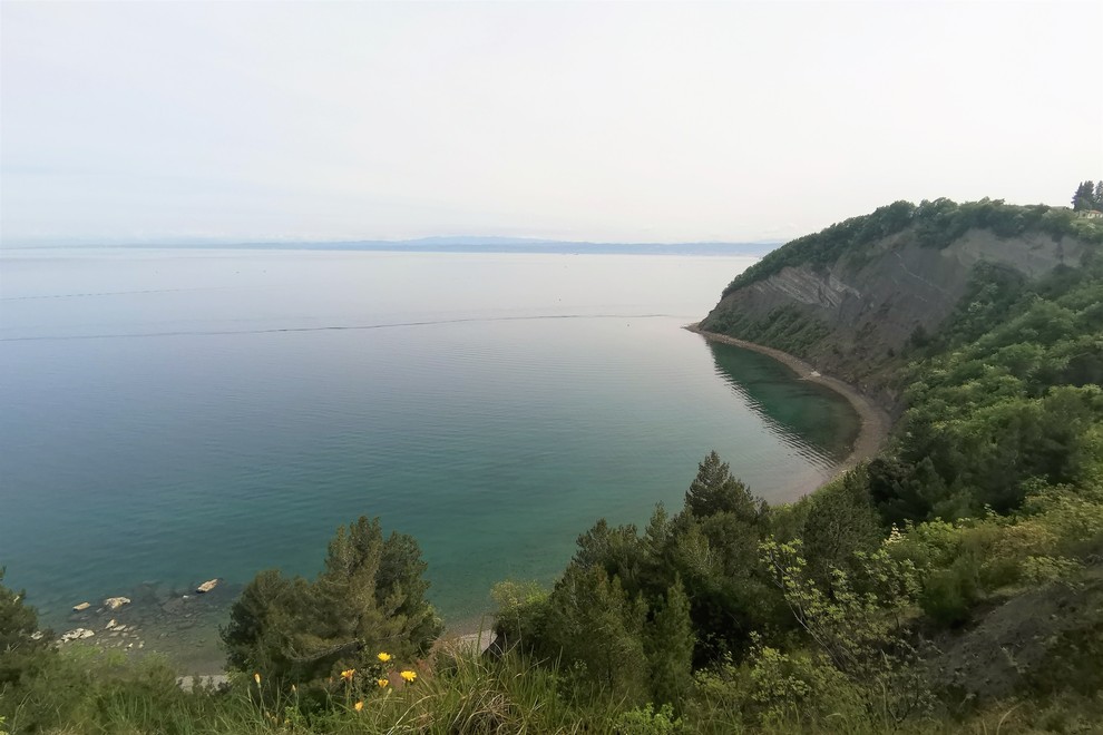 Plaža Mesečev zaliv, Strunjan, Slovenija Divja plaža v Mesečevem zalivu ali zalivu Sv. Križa velja za najlepšo plažo v Sloveniji. …