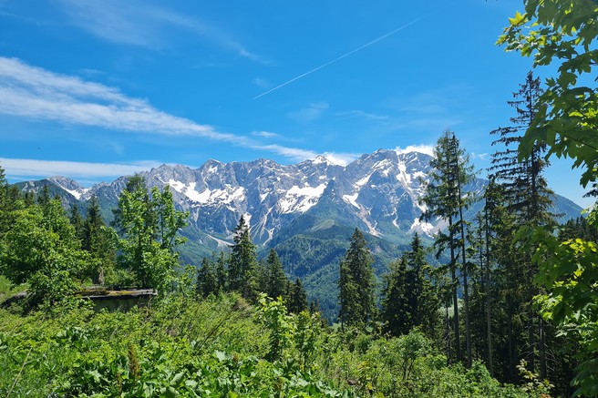Ideja za izlet: Jezersko - sprehodite ali zapeljite se do čudes in umirite dušo v srečanju s stoletnimi gozdovi