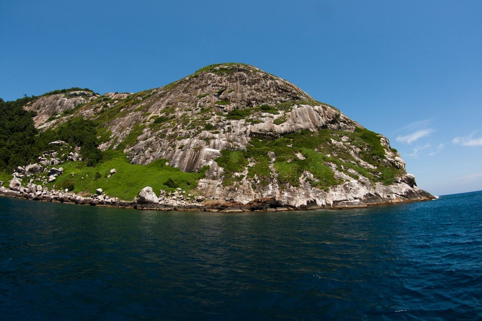 Otok Ilha da Queimada Grande Otoček se nahaja na JV Brazilije, ob obali Sao Paula (od obale je oddaljen zgolj …