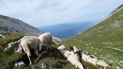 Lahka označena pot: Stol – z 2236 metri najvišji vrh Karavank