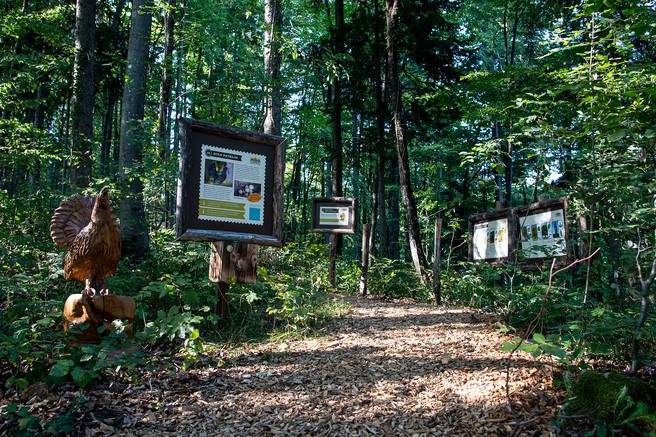 Ideja za izlet: Park Cukarca ste že obiskali?